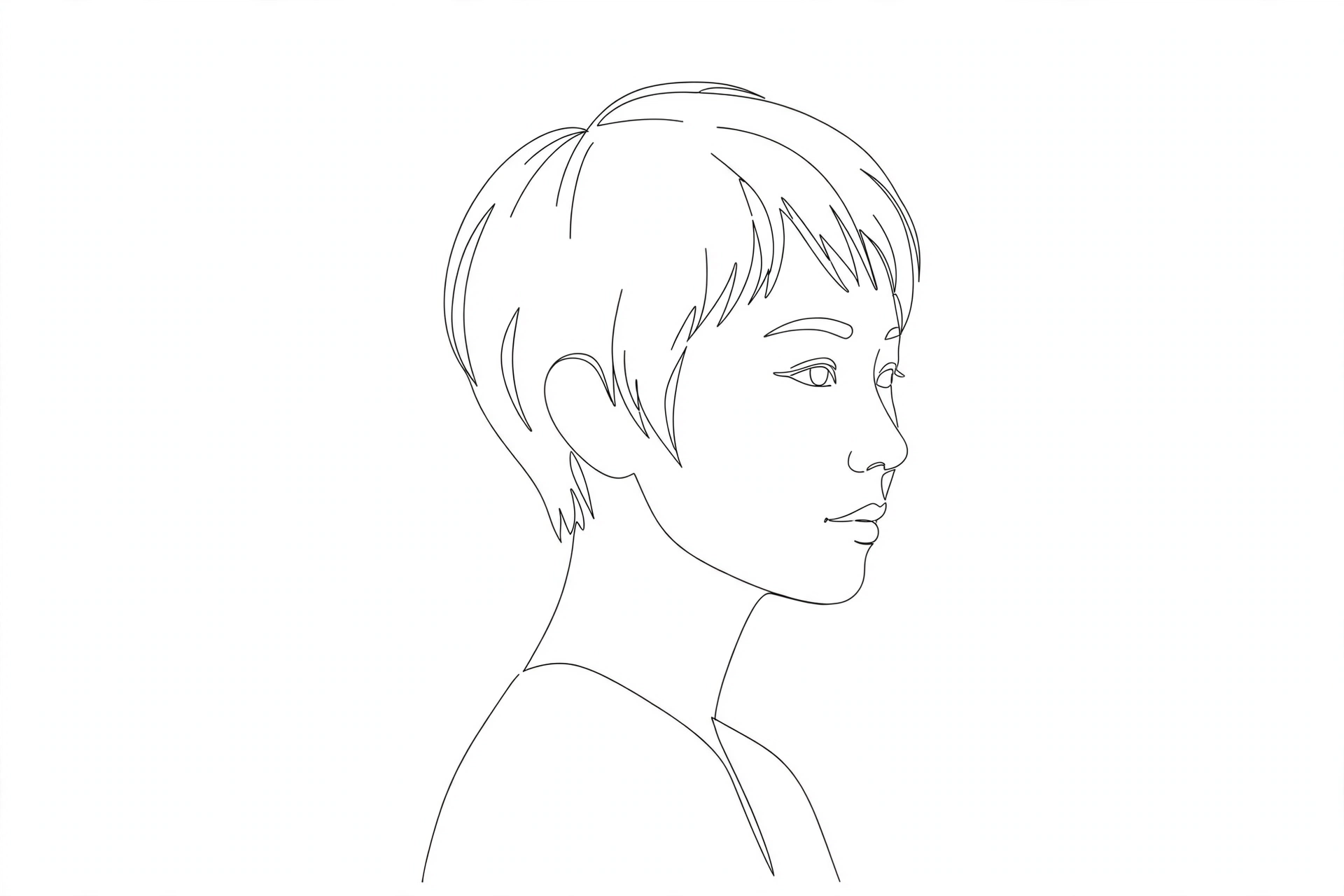 Figure 1: The front section ends at the cheekbone, not at the jaw.